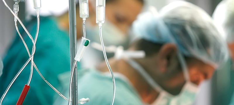 Convocatorias Becas ELAR 2024