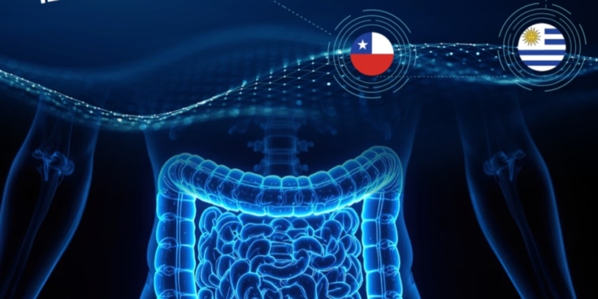 IMAGENES QUE CONECTAN